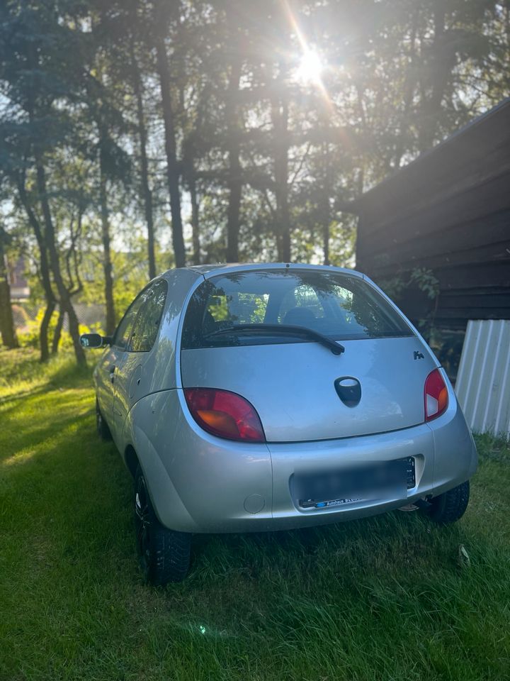 Ford Ka Bj 2002 / TÜV 01/2026 in Süderholz