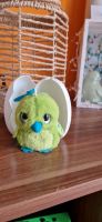 Hatchimals kuscheltier klein Sachsen-Anhalt - Tangerhütte Vorschau