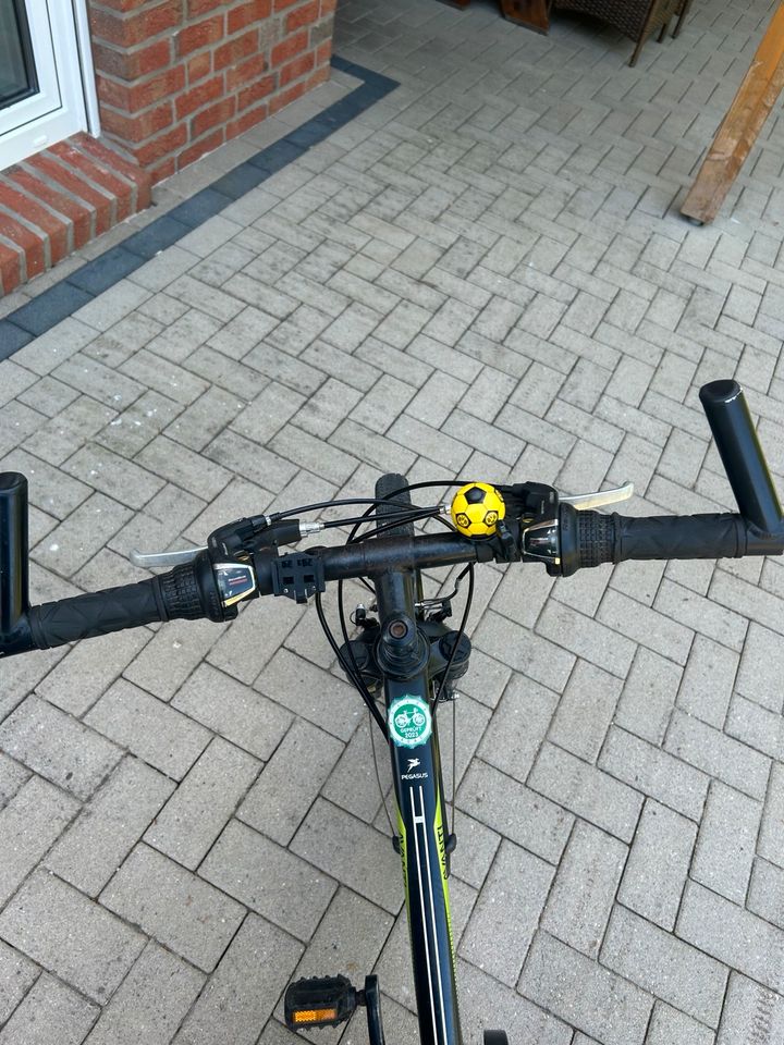 Pegasus Kinderfahrrad 24“ in Emstek