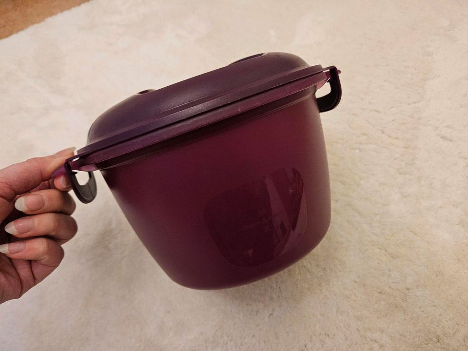 Tupperware Reismaker lila grün Tupper Reis in Bünde