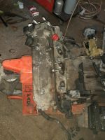 Fiat panda 169 1,1 l  210000 motor ohne Anbau Teile Bayern - Fahrenzhausen Vorschau