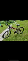 Focus Whistler Mountainbike Bayern - Buchloe Vorschau