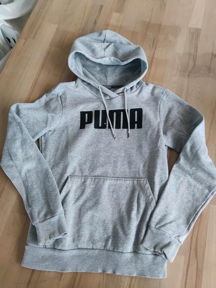 Hoodie Puma Nike Converse Adidas Levis Star Wars Gr. 152 in Bad Friedrichshall