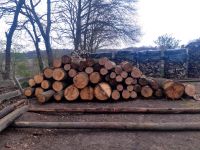 Fichtenholz Fichtenstämme 3meter lang durchmesser 12 bis 14 cm Niedersachsen - Nienhagen Vorschau