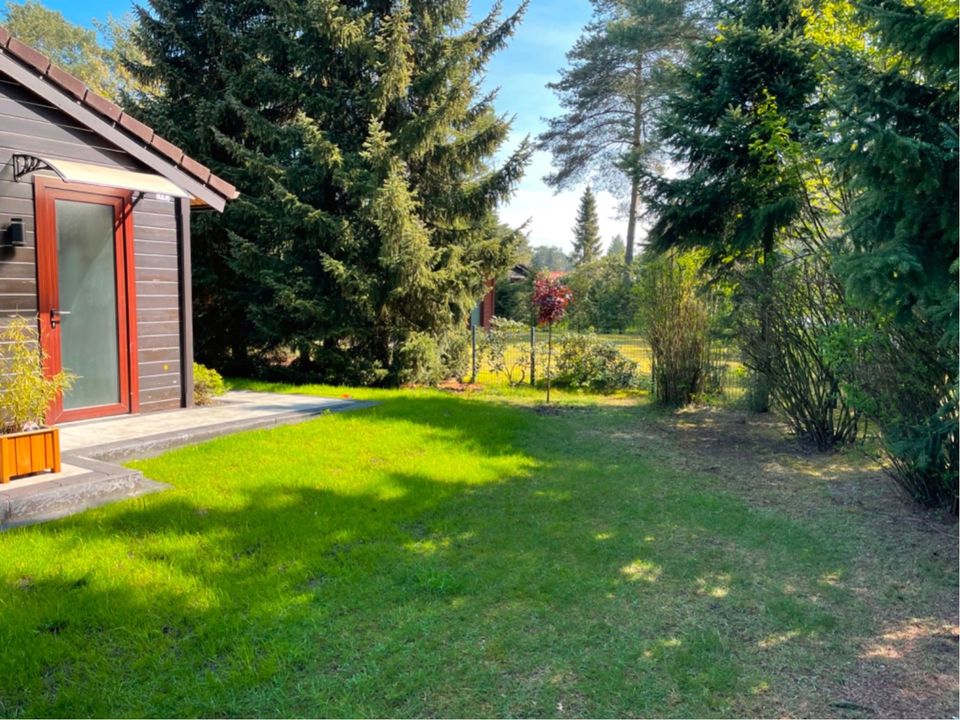 Ferienhaus-Waldsiedlung mieten in Dankern in Haren (Ems)