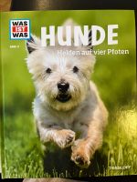 Hunde Helden auf vier Pfoten Rheinland-Pfalz - Mainz Vorschau