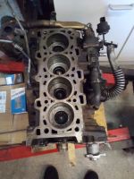 Motorblock komplett M9R782  2.0 DCI Renault Trafic II Opel Vivaro Nordrhein-Westfalen - Wesel Vorschau