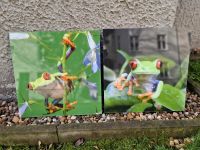 Frosch Wandbilder 2er-Set Acryl Sachsen-Anhalt - Magdeburg Vorschau