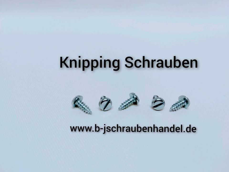 Original Knipping Blechschrauben viele Abmessungen Sonderpreise!! in Bielefeld