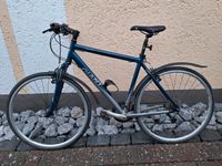 Giant Mountainbike 24 Gänge Nordrhein-Westfalen - Werl Vorschau