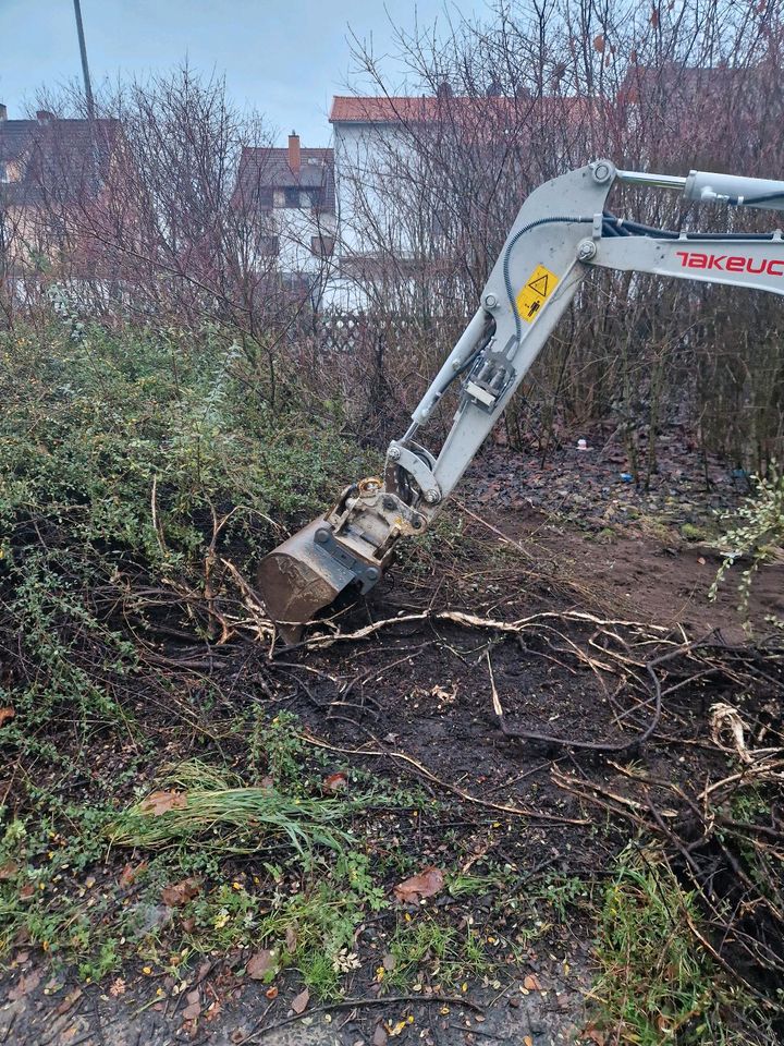 Bagger mit Fahrer in Kirchhain