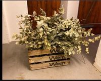 Echter Eukalyptus/ Hochzeitsdekoration/ Trockenblumen Niedersachsen - Celle Vorschau