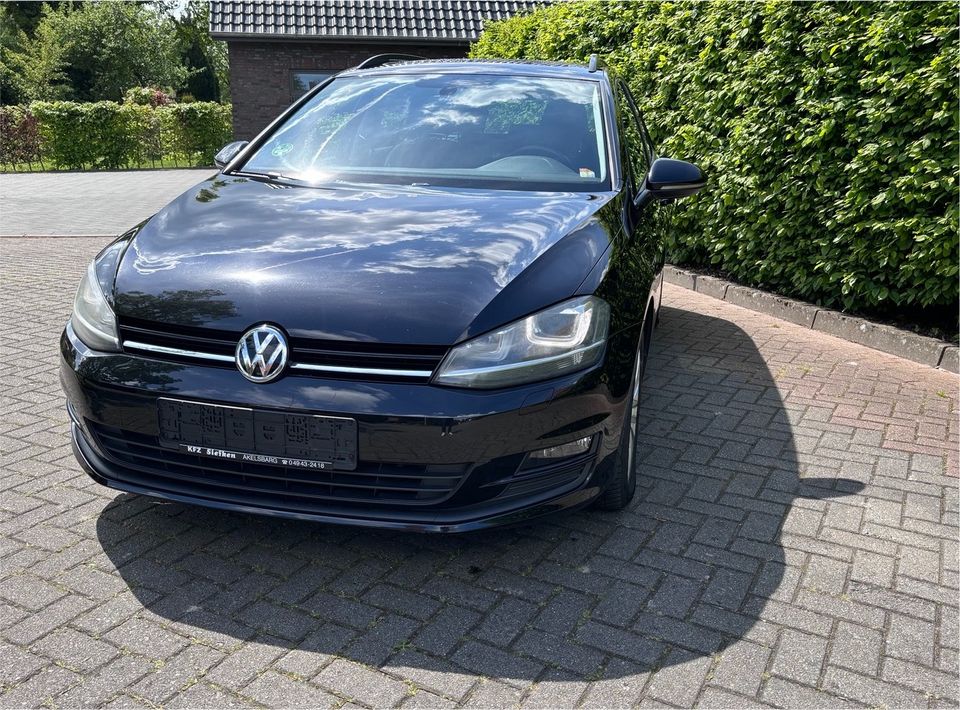 Volkswagen Golf Variant Cup 1.4 Benzin Panorama Automatik AHK in Norden