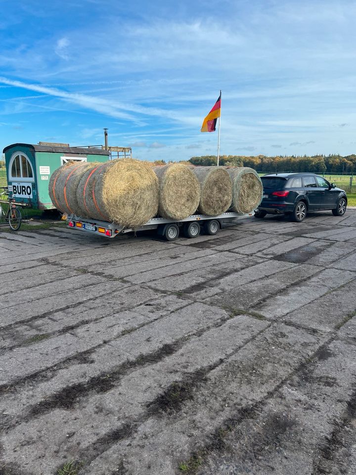 Der Transporter in Ahrenshagen-Daskow