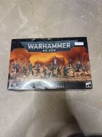 Warhammer 40k Drukhari Kabalite Warriors neu ovp Hamburg-Nord - Hamburg Winterhude Vorschau