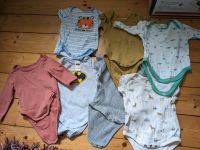 Baby Body Unterhemd Größe 56 Duisburg - Homberg/Ruhrort/Baerl Vorschau