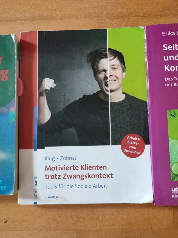 Soziale Arbeit/ Sozialpädagogik Fachbücher/ Fachbuch in Lörrach