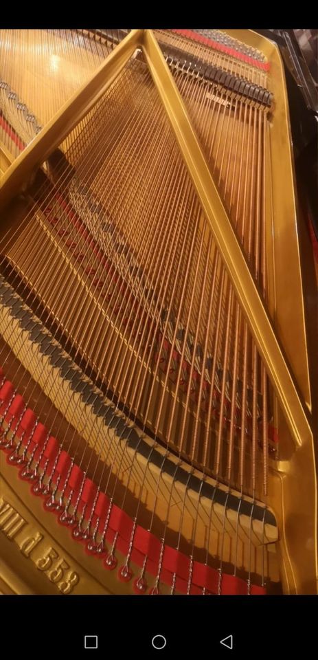 Grotrian Steinweg Flügel in Ehningen