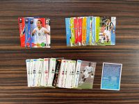 Panini Karten Fifa WN 2010 & UEFA Champions League 07-08 & 08-09 Baden-Württemberg - Weinstadt Vorschau