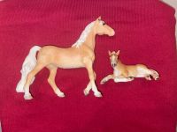 Schleich Pferd mit Fohlen Baden-Württemberg - Neuenburg am Rhein Vorschau