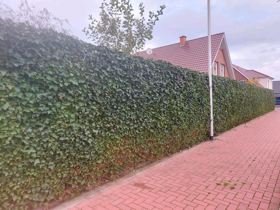 ❗️✅ ZAUN AUFSTELLEN • Gartenpflege in Steinfurt