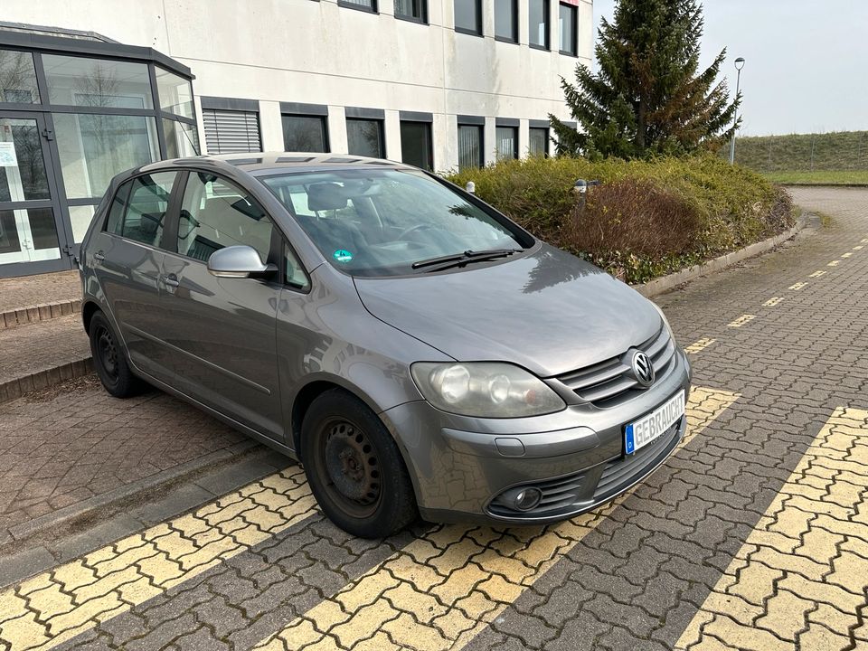 VW Golf Plus1.9 TDI Klimaanlage ZV+Funk el.FH el.SP in Ziesendorf