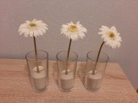 Deko, Blumen im Glas Nordrhein-Westfalen - Schieder-Schwalenberg Vorschau