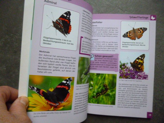 Kinder Wissens Buch " Insekten, Spinnen & Co" wir räumen in Wolfach