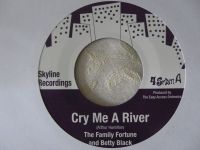 Family Fortune And Betty Black – Cry Me A River / Shock Value 7" Hessen - Buseck Vorschau