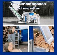 Lohnspalten bis 80cm Durchmesser Binderberger SPX 800 Hessen - Greifenstein Vorschau