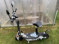 Scooter SXT1000 XL EEC Facelift Brandenburg - Schulzendorf bei Eichwalde Vorschau