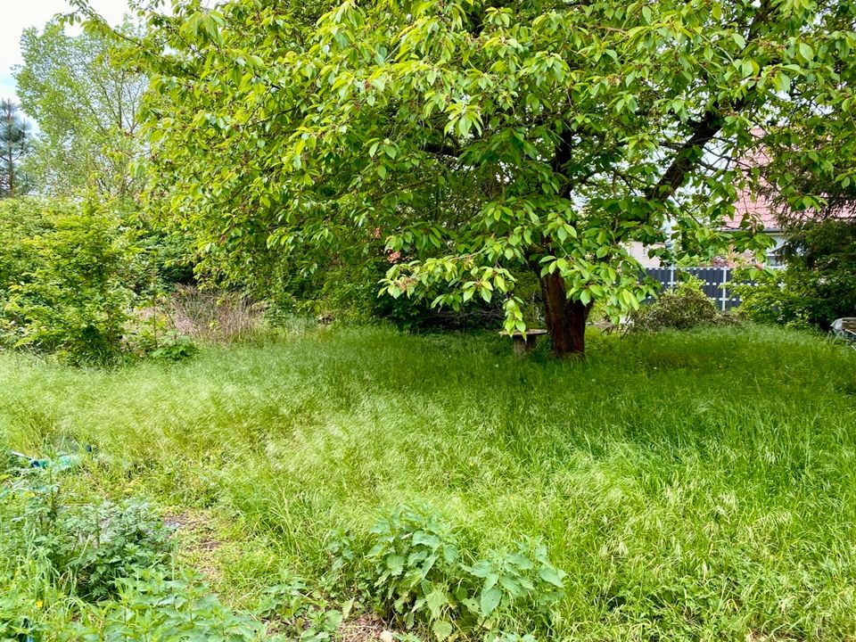 Charmantes Wohnhaus mit unbebautem Grundstück in der Nähe von Magdeburg *PROVISIONSFREI* zu erwerben in Möckern