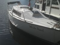 Segelboot Reparaturbedürftig Hamburg-Mitte - Hamburg Wilhelmsburg Vorschau