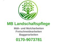 Baggerarbeiten (Minibagger) Rheinland-Pfalz - Siefersheim Vorschau
