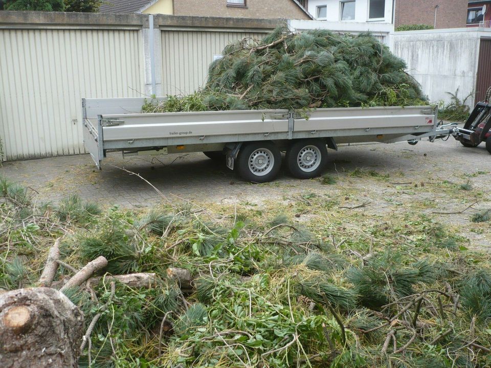 Containerdienst für Strauchschnitt,Hecken,Büsche u.s.w. bis 12 m³ in Ganderkesee