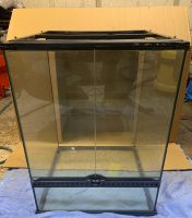 Terrarium 45x45x60 Exo Terra Rheinland-Pfalz - Thalfang Vorschau