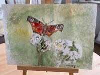 Bild Aquarell Schmetterling Niedersachsen - Bassum Vorschau