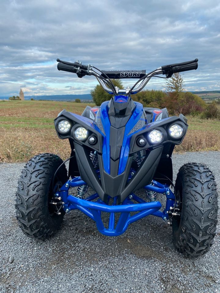 Pocket Bike Quad 1000 Watt 48V NEU Elektro Kinderquad Mini ATV in Aschaffenburg