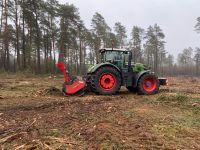 Forstmulchen Waldbearbeitung Sachsen-Anhalt - Calvörde Vorschau