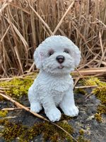 Deko Hund Malteser Bichon Frise Hundefigur Rheinland-Pfalz - Waldbreitbach Vorschau