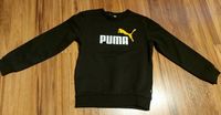 Pullover von PUMA Gr.140 Sachsen-Anhalt - Hohenmölsen Vorschau