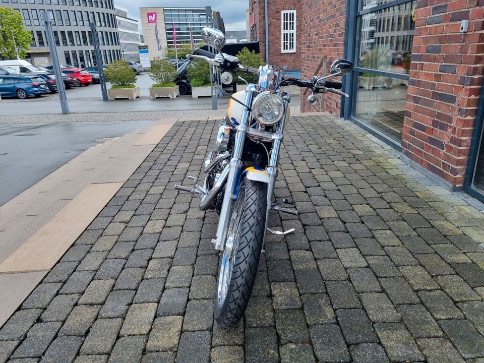 Harley-Davidson Sportster XL1200 Custom in Bielefeld