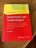 Mathematik zum Studienbeginn Lehrbuch Niedersachsen - Pattensen Vorschau