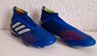 Adidas Predator 19+ FG (Controlskin) Fußballschuhe Größe 43 1/3 Rheinland-Pfalz - Guntersblum Vorschau