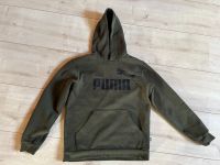 Puma Pulli Khaki Größe 164 Bayern - Brunnen Vorschau