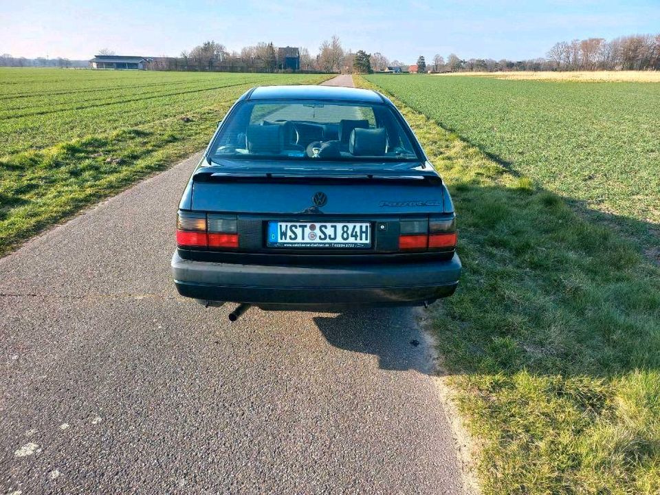 PASSAT 35I in Bad Zwischenahn