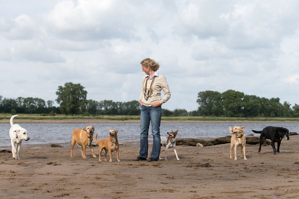 Liebevolle Hundebetreuung, Gassiservice, Dogwalker in Börnsen