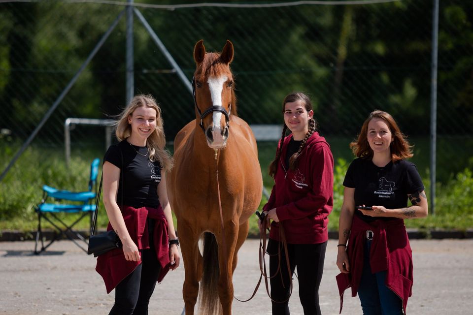 Pferdetrainer werden! | Ausbildung | natural.horsing Basistrainer in Neuhaus am Inn