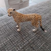 Schleich Gepard Düsseldorf - Unterbach Vorschau