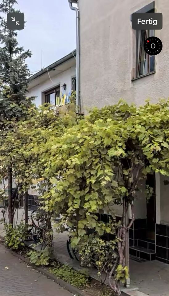 Mehrfamilienhaus mit Potenzial in Koblenz